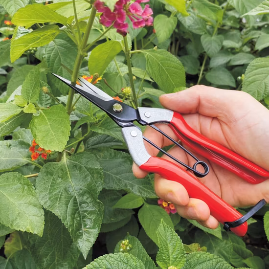 긴 직선 바늘 코 꽃 원예 가위 손 정리기 꽃 Secateurs 가지 치기 가위 원예 도구
